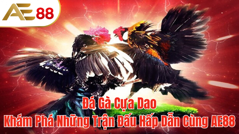 AE88-da-ga-cua-dao-dac-sac-2024